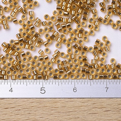 MIYUKI Delica Beads Small X-SEED-J020-DBS0181-1