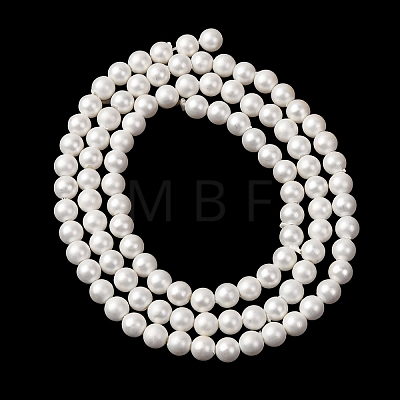 Round Shell Pearl Bead Strands LS-BSHE-L011-4mm-A013A-1