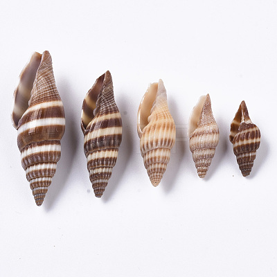 Natural Spiral Shell Beads SSHEL-S258-91-1