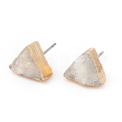 Natural Quartz Crystal Ear Studs EJEW-G153-G02-1
