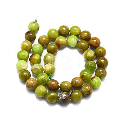 Natural Green Opal Beads Strands G-K245-A17-A05-1