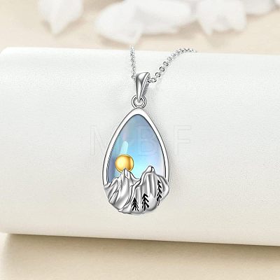 Alloy Glass Teardrop with Snow Mountain Pendant Necklaces WG78F70-01-1