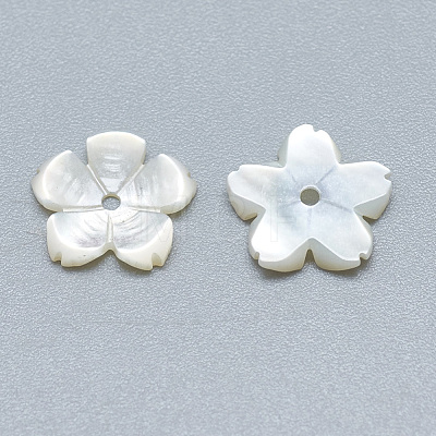 Natural White Shell Beads SSHEL-S260-009-1