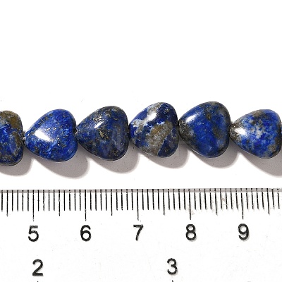 Natural Lapis Lazuli Beads Strands G-R190-10mm-54B-1