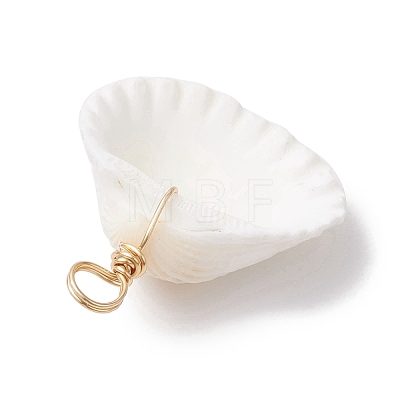 Natural Ark Shell Pendants PALLOY-JF02679-01-1