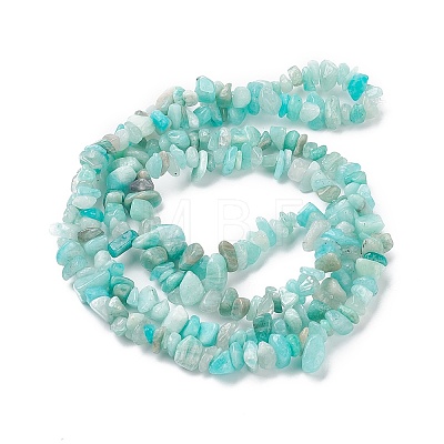 Natural Exotic Amazonite Chips Beads Strands F070-1-1