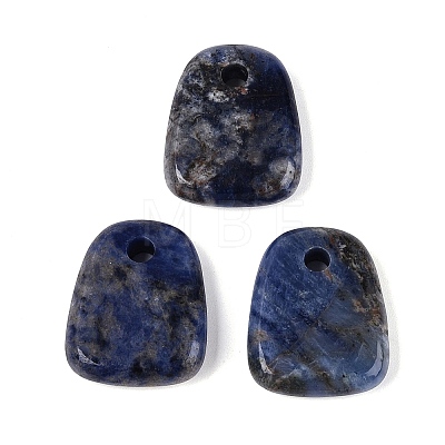 Natural Lapis Lazuli Pendants G-N362-06B-1