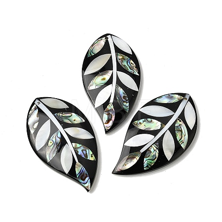Natural Freshwater Shell & Paua Shell & White Shell Big Pendants SHEL-C009-03-1