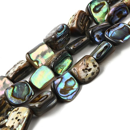 Natural Abalone Shell/Paua Shell Beads Strands BSHE-D300-01A-1