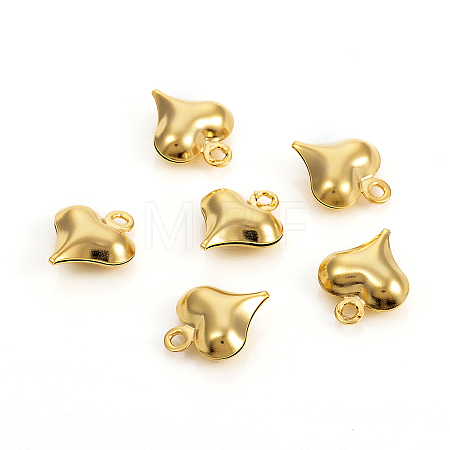304 Stainless Steel Charms LS-STAS-I149-05A-G-1