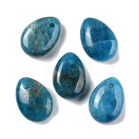 Natural Apatite Teardrop Charms G-M410-01-12-1