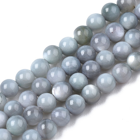 Natural Freshwater Shell Beads Strands X-BSHE-T009A-01K-1