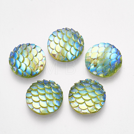Resin Cabochons CRES-Q191-HA023-15-1