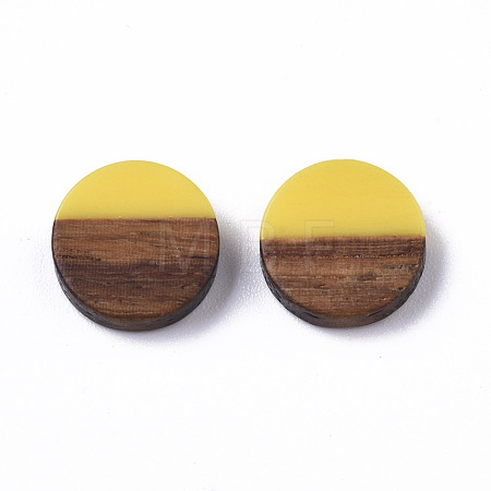 Resin & Wood Cabochons RESI-S358-70-H34-1