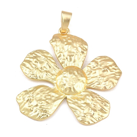 Alloy Big Pendants FIND-I074-02MG-02-1