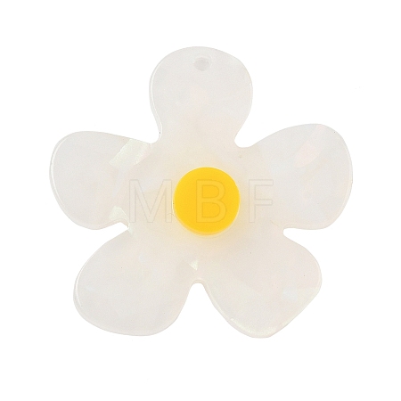 Opaque Acrylic Pendants SACR-B008-03-1