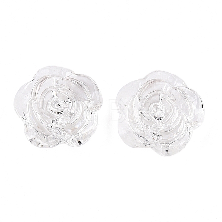 Transparent Acrylic Beads OACR-N137-32G-1