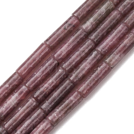 Natural Lepidolite/Purple Mica Stone Beads Strands G-F247-45A-1