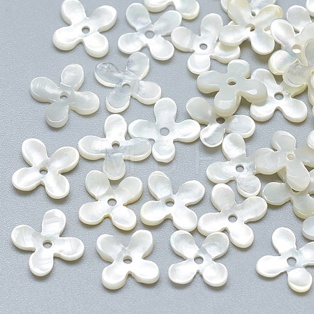 Natural White Shell Beads SSHEL-S260-056A-01-1