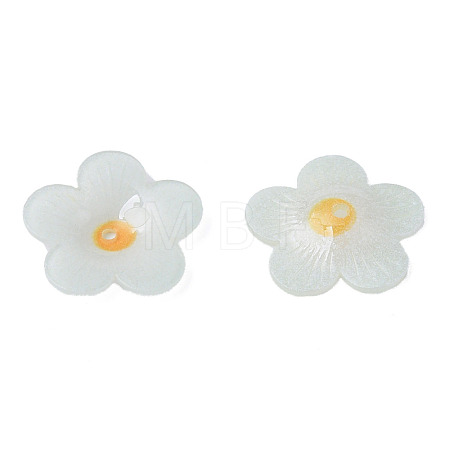 Plastic Beads KY-N015-173-1