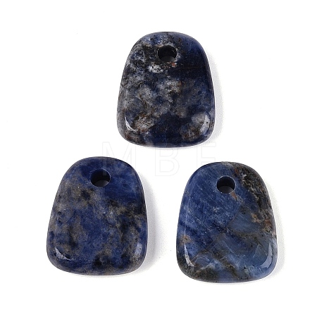 Natural Lapis Lazuli Pendants G-N362-06B-1