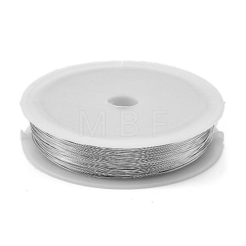 Baking Painted Iron Wire MW-NH0001-05C-1