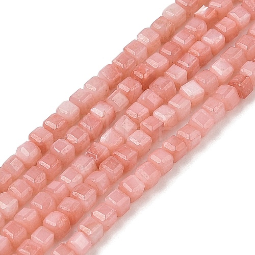 Natural Freshwater Shell Dyed Beads Strands SHEL-R100-11A-01-1