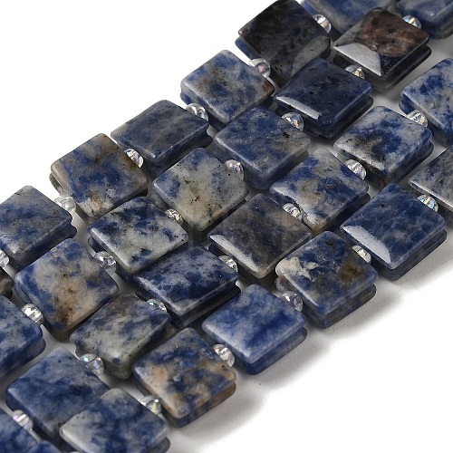 Natural Blue Spot Jasper Beads Strands G-L596-A07-01-1