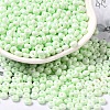 Baking Paint Glass Seed Beads X1-SEED-B001-02A-11-1