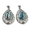 Natural Paua Shell/Abalone Shell Pendants FIND-Z032-01A-1