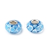Lampwork & Brass Core European Beads LAMP-P019-01P-21-1
