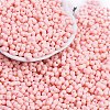 Baking Paint Glass Seed Beads X1-SEED-K010-A25-1