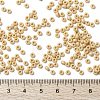 MIYUKI Round Rocailles Beads X-SEED-G008-RR0493-4