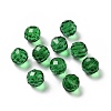 K9 Glass Imitation Austrian Crystal Beads GLAA-H024-17C-08-1