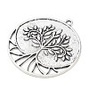 Tibetan Style Alloy Big Pendants AL-CBACA42-04AS-2