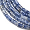 Natural Blue Spot Jasper Beads Strands GG-B091-A25-01-4