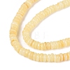 Natural Freshwater Shell Beads Strands SHEL-Q028-01B-3