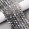 Natural Labradorite Round Bead Strands G-M263-B-03-2