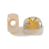 Luminous Transparent Acrylic Beads OACR-P037-01B-V-3