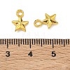 Alloy Pendants PALLOY-F321-01A-G-3