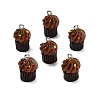 Opaque Resin Imitation Food Pendants RE-CBAF169-07B-2