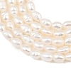 Natural Cultured Freshwater Pearl Beads Strands PEAR-F020-13-4
