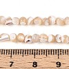 Natural Trochid Shell/Trochus Shell Beads Strands SSHEL-N040-10-4