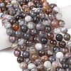 Natural Botswana Agate Beads Strands G-G453-B01-8mm-1