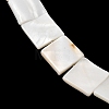 Natural Freshwater Shell Beads Strands SHEL-A006-10A-3