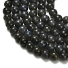 Natural Black Labradorite Beads Strands G-L642-B15-6mm-4