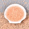 FGB Frosted Transparent Glass Seed Beads SEED-N013-06A-03-2