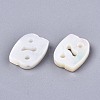 Natural White Shell Beads SSHEL-ZX004-02D-2