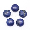 Natural Lapis Lazuli Cabochons X-G-P393-R11-12mm-1