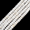 Natural Freshwater Shell Beads Strands SHEL-C010-04B-02-1
